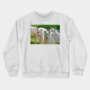 Arctic Wolf Crewneck Sweatshirt